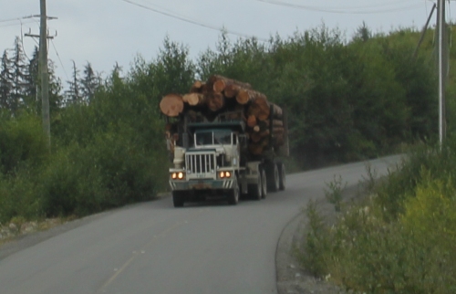 Loaded Logging Truck with Brakes Stressed